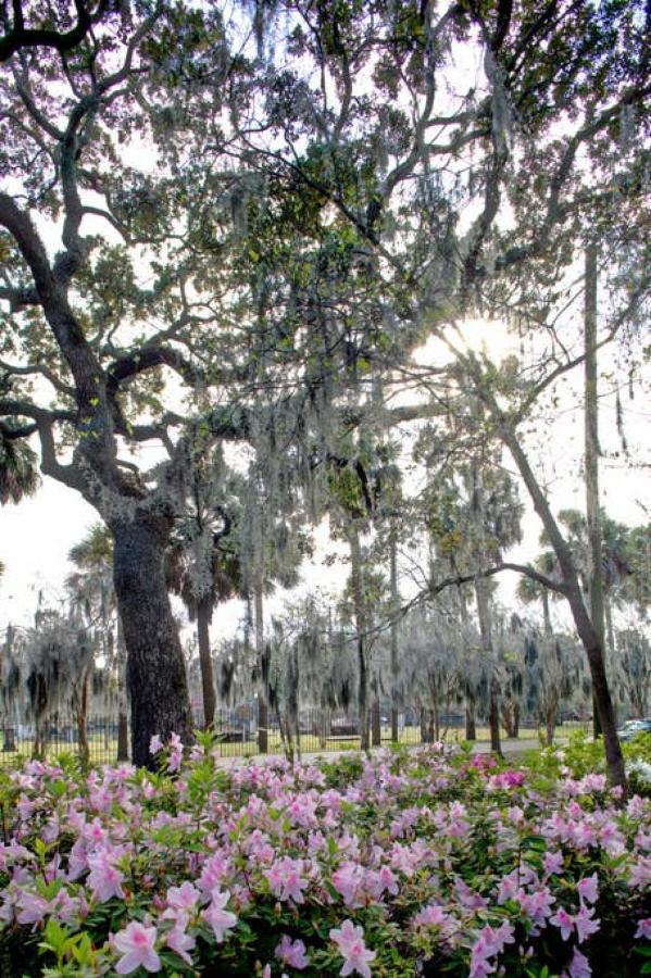 Restored Historic Home 5 Bedroom 4 And A Half Bath Savannah Bagian luar foto
